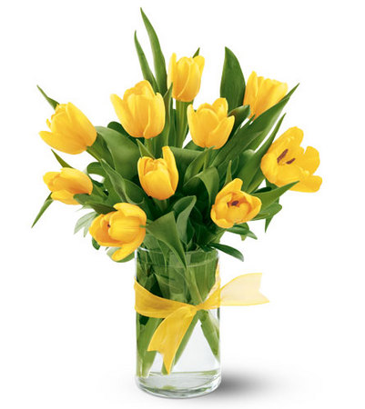 Flower Delivery Perth on Flowers Perth   Florist Bouquets   Florist Perth Flowers Delivery