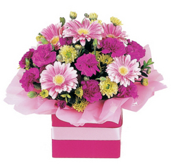 Flowers Delivered Mothers  on Cute Flowers   Delivered   Flowers Perth   Mothers Day   Florist