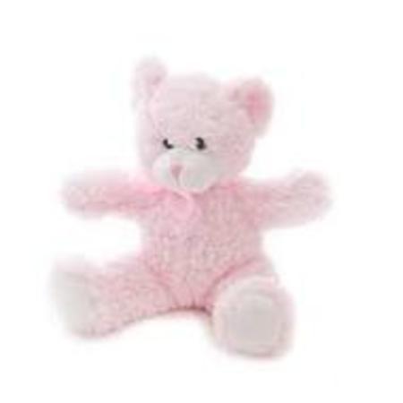 Small pink hot sale teddy