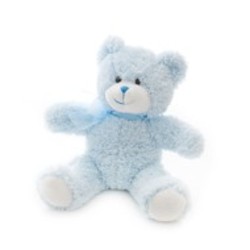 Small blue Teddy
