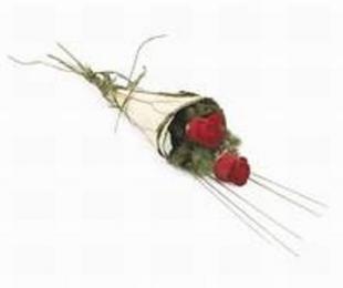 Rose Duet fm