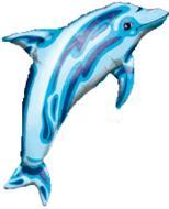 Blue Dolphin Supershape