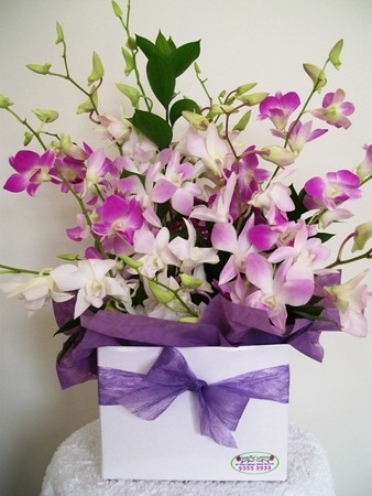 Flower Delivery Perth on Flowers   Mothers Day   Flowers Perth  Flowers Delivery Perth Wa