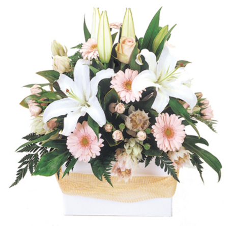 Online Flower Deliveries on Dove   Flowers   Just Because   Florist Perth Online  Flowers Delivery