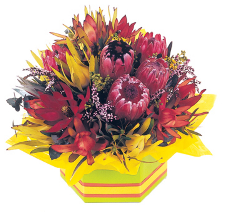 Flower Delivery Perth on Flowers   Florist Arrangements   Flowers Perth  Flowers Delivery Perth