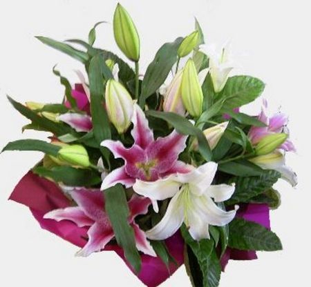 Online Flower Deliveries on Flowers   Mothers Day   Florist Perth Online  Flowers Delivery Perth